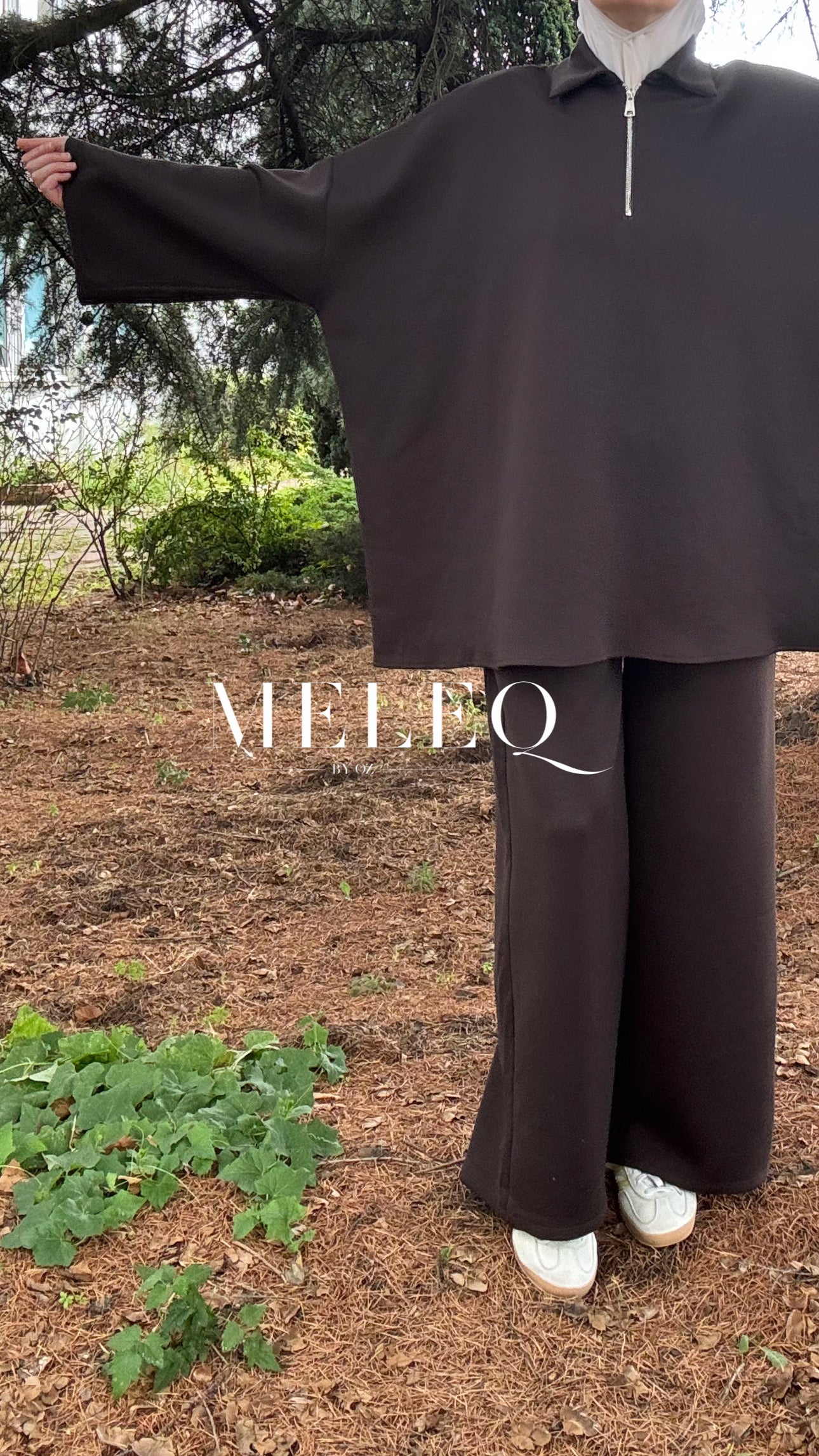 Ensemble SAM - Marron