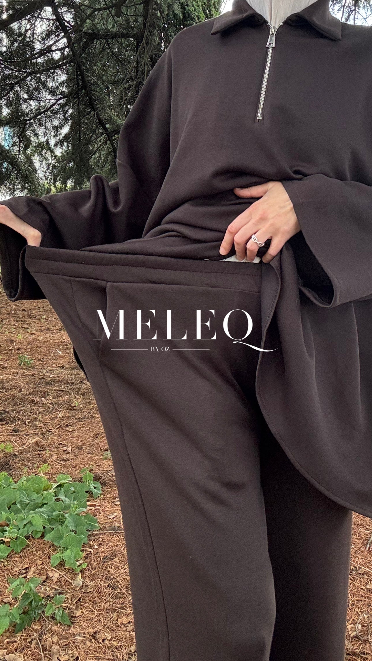 Ensemble SAM - Marron