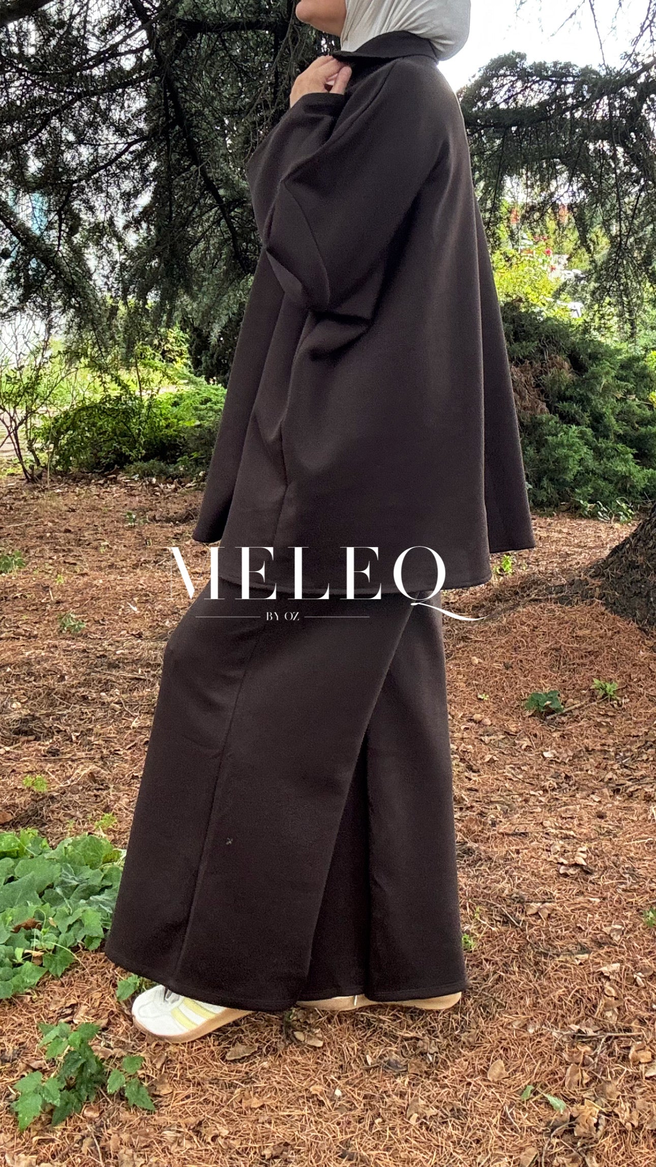 Ensemble SAM - Marron