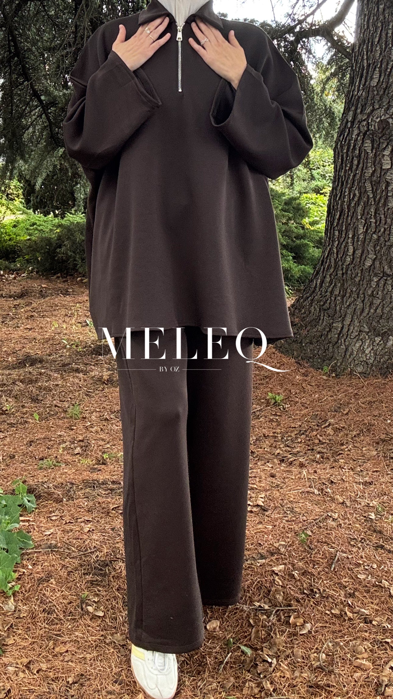 Ensemble SAM -  Marron