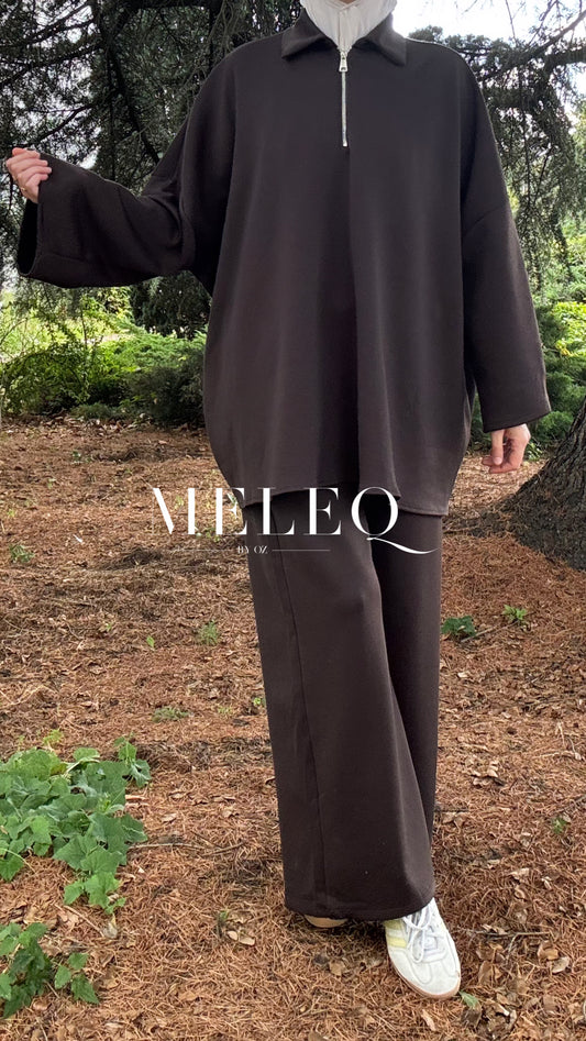 Ensemble SAM -  Marron