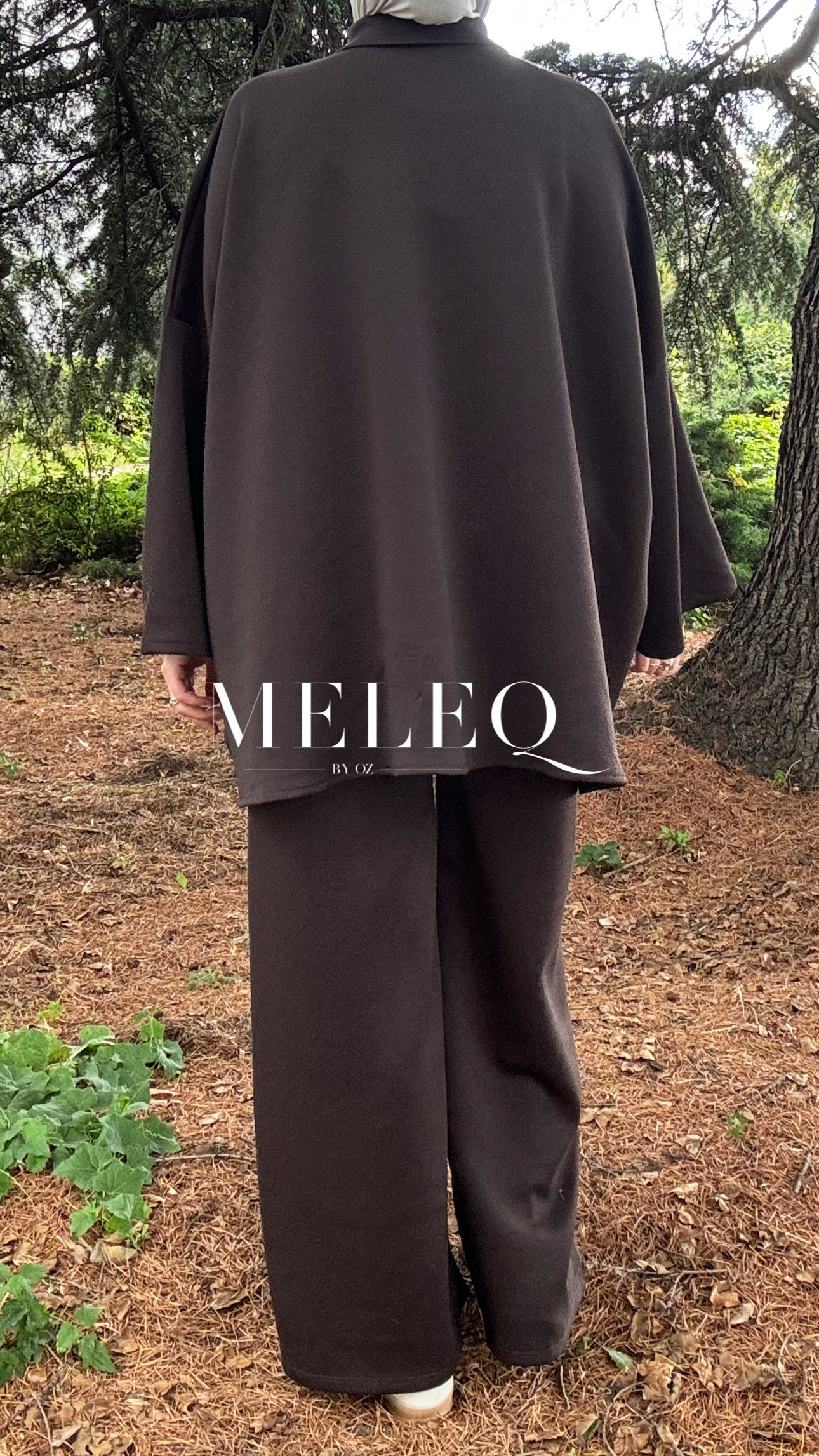 Ensemble SAM -  Marron