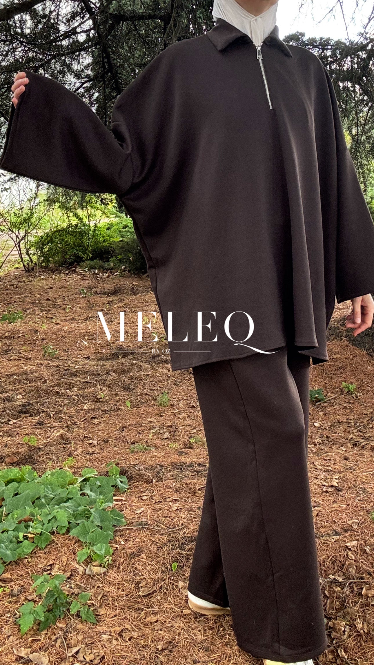 Ensemble SAM -  Marron