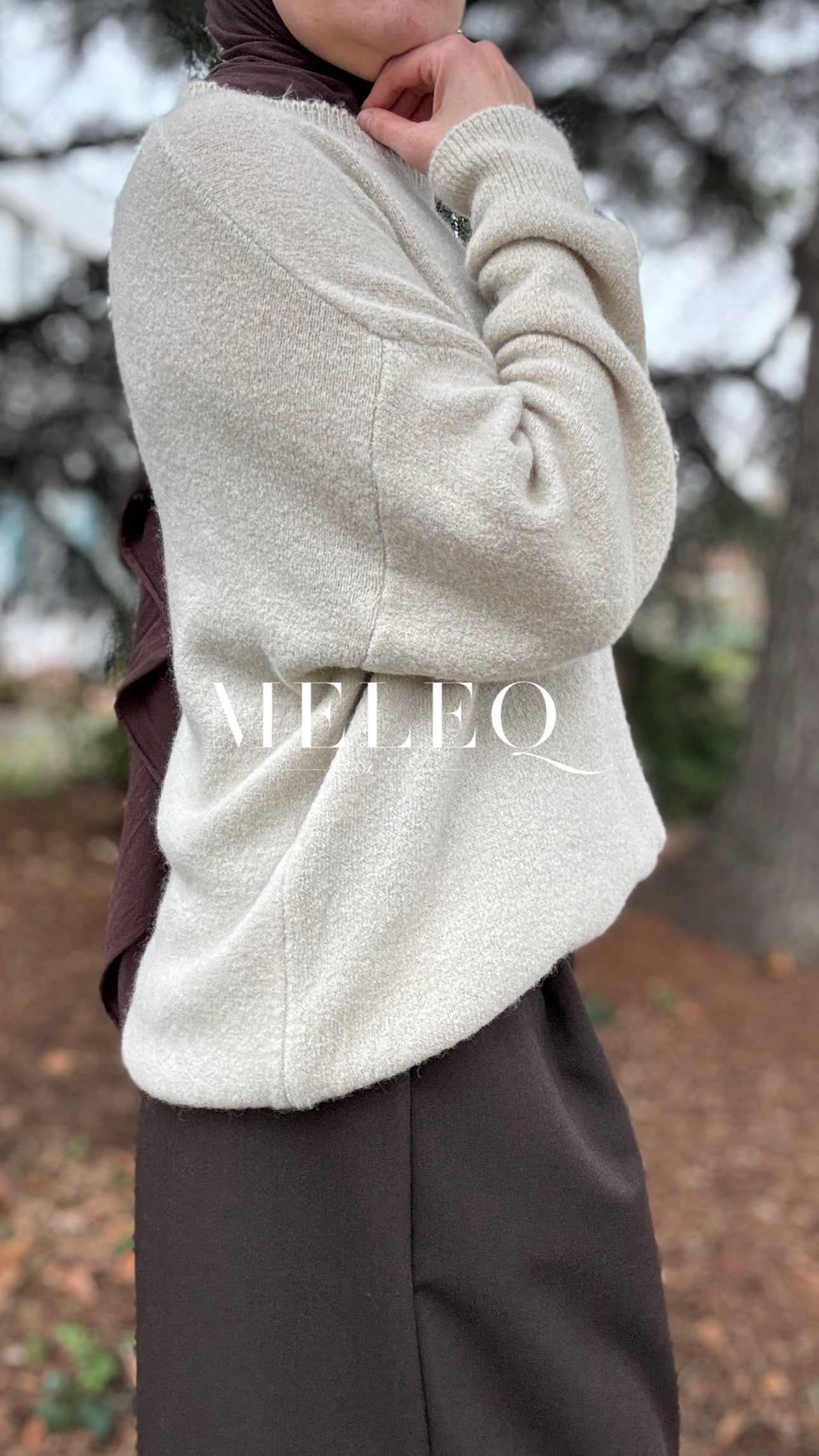 Pull Émilie- Beige