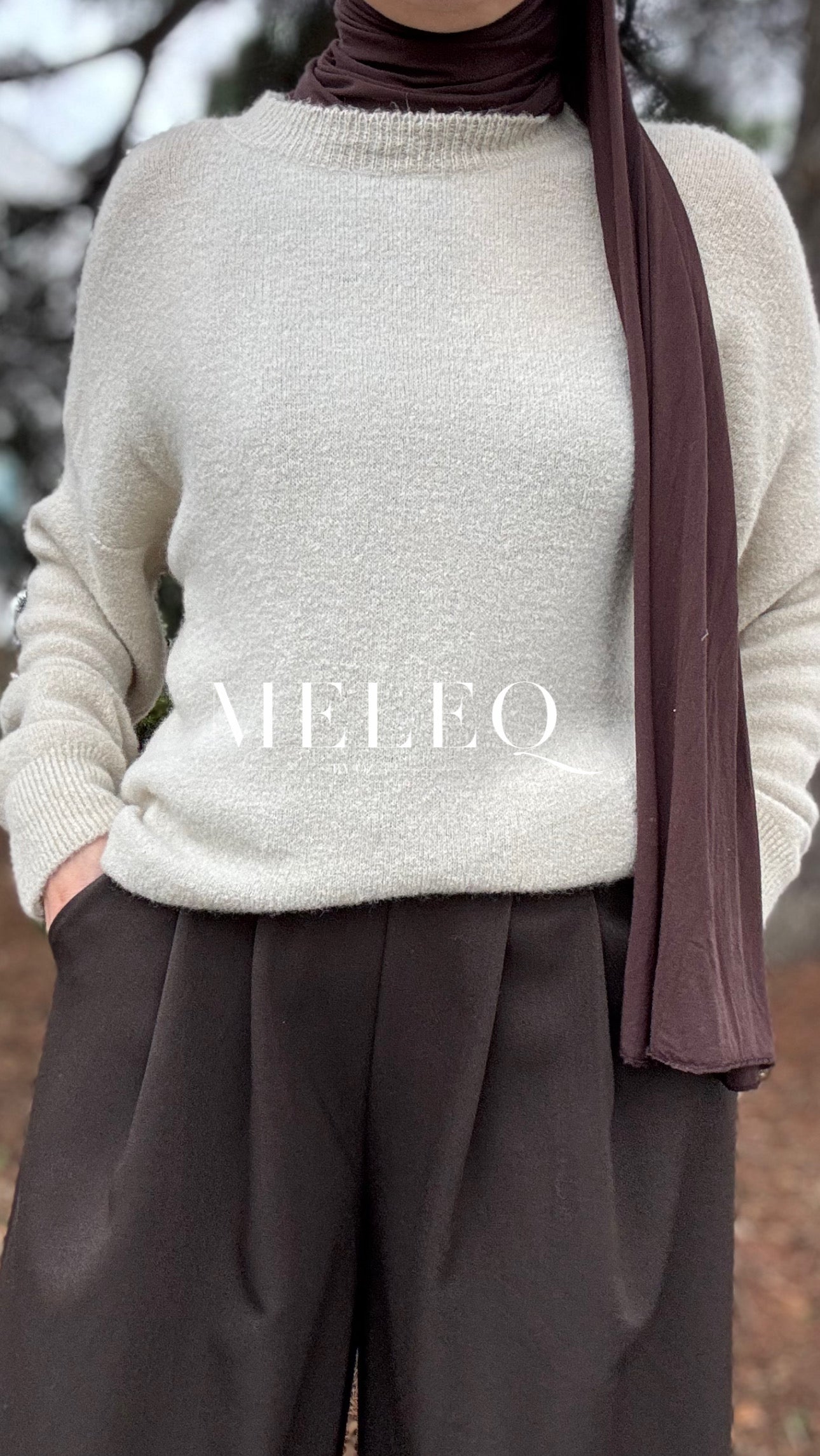 Pull Émilie- Beige